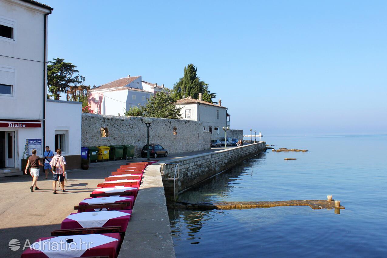 Poreč на Ривьере Poreč (Istra)