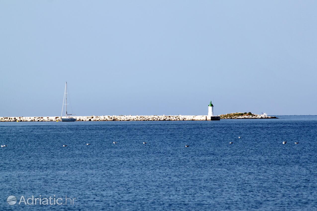 Poreč in riviera Poreč (Istra)