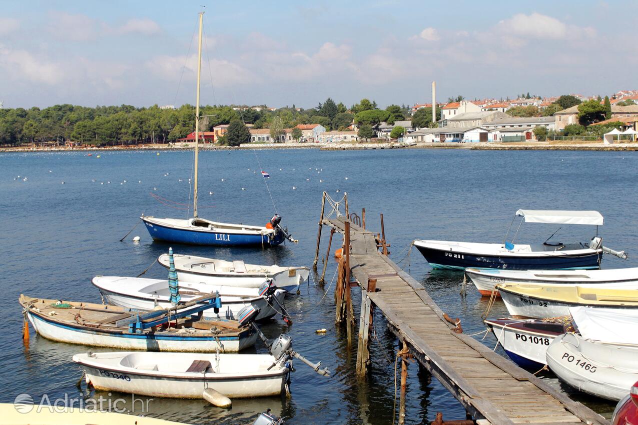 Poreč in riviera Poreč (Istra)