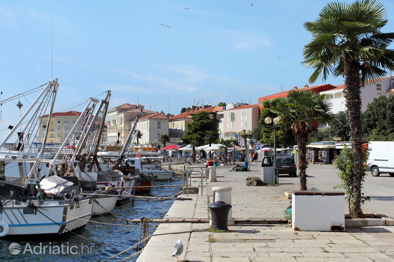 Poreč in riviera Poreč (Istra)