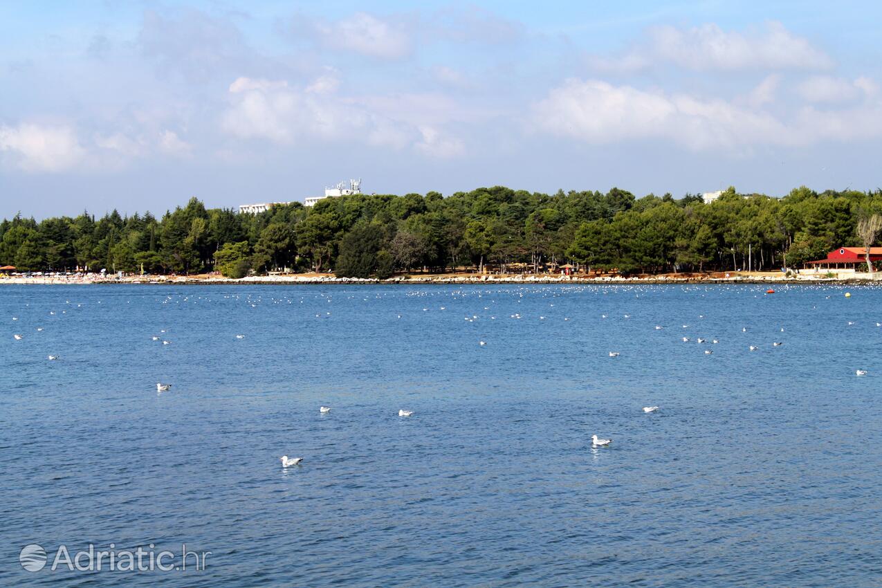 Poreč in riviera Poreč (Istra)