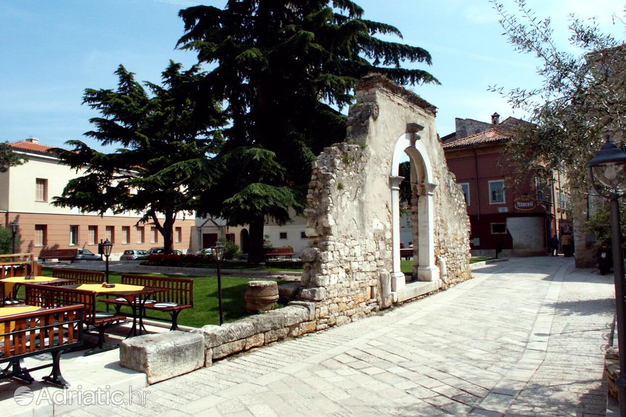 Poreč in riviera Poreč (Istra)