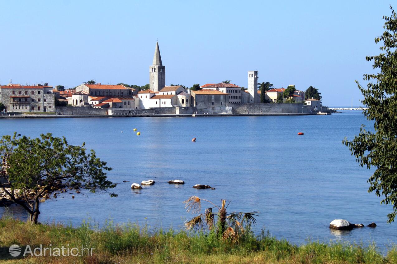 Poreč in riviera Poreč (Istra)