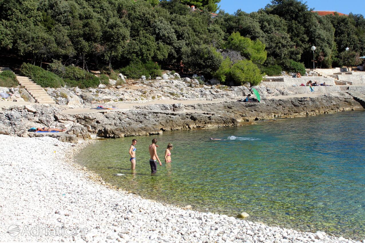 Spiagge nelle vicinanze - Appartamenti accanto al mare Pola - Pula