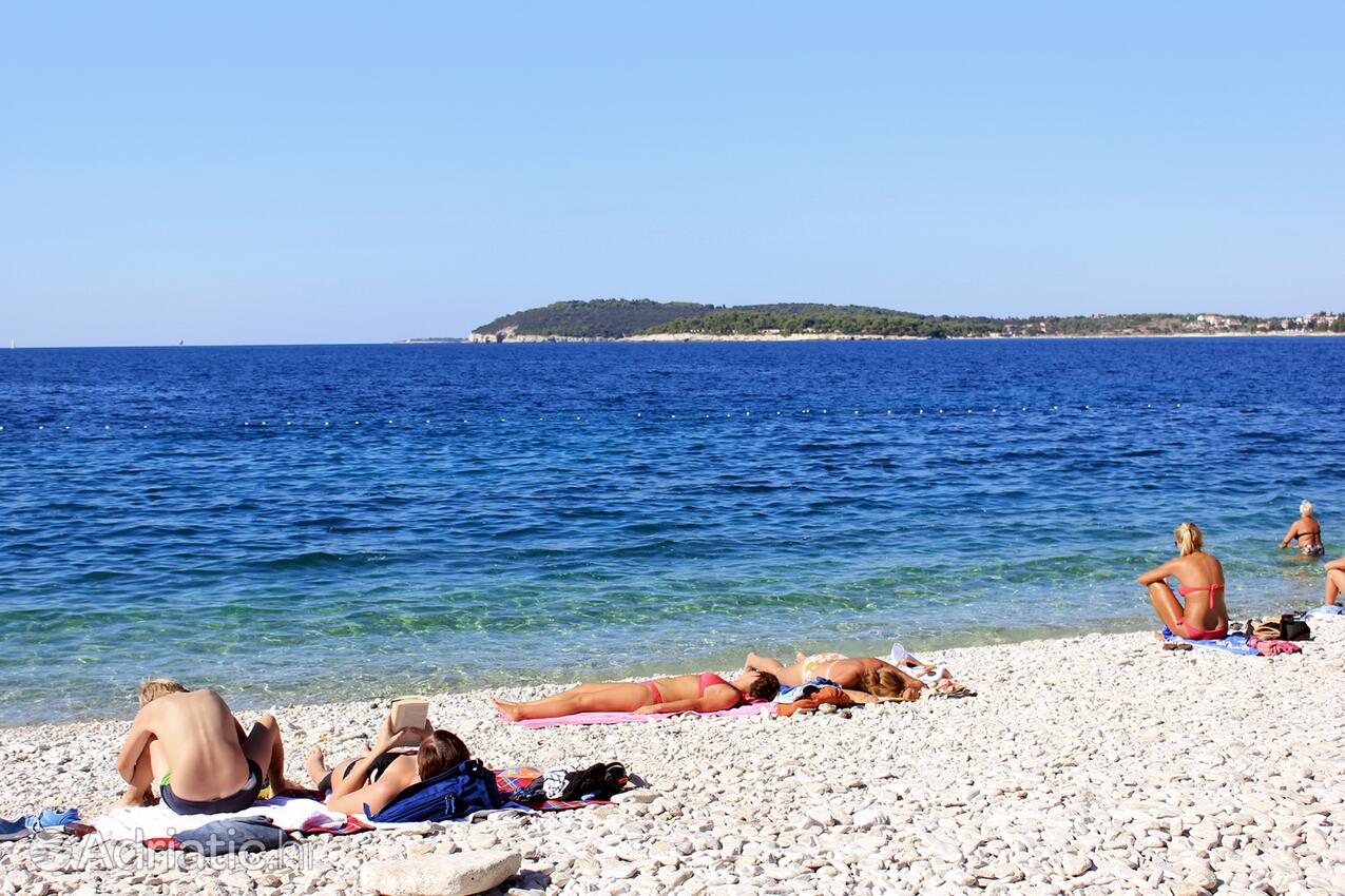 Spiagge nelle vicinanze - Appartamenti accanto al mare Pola - Pula