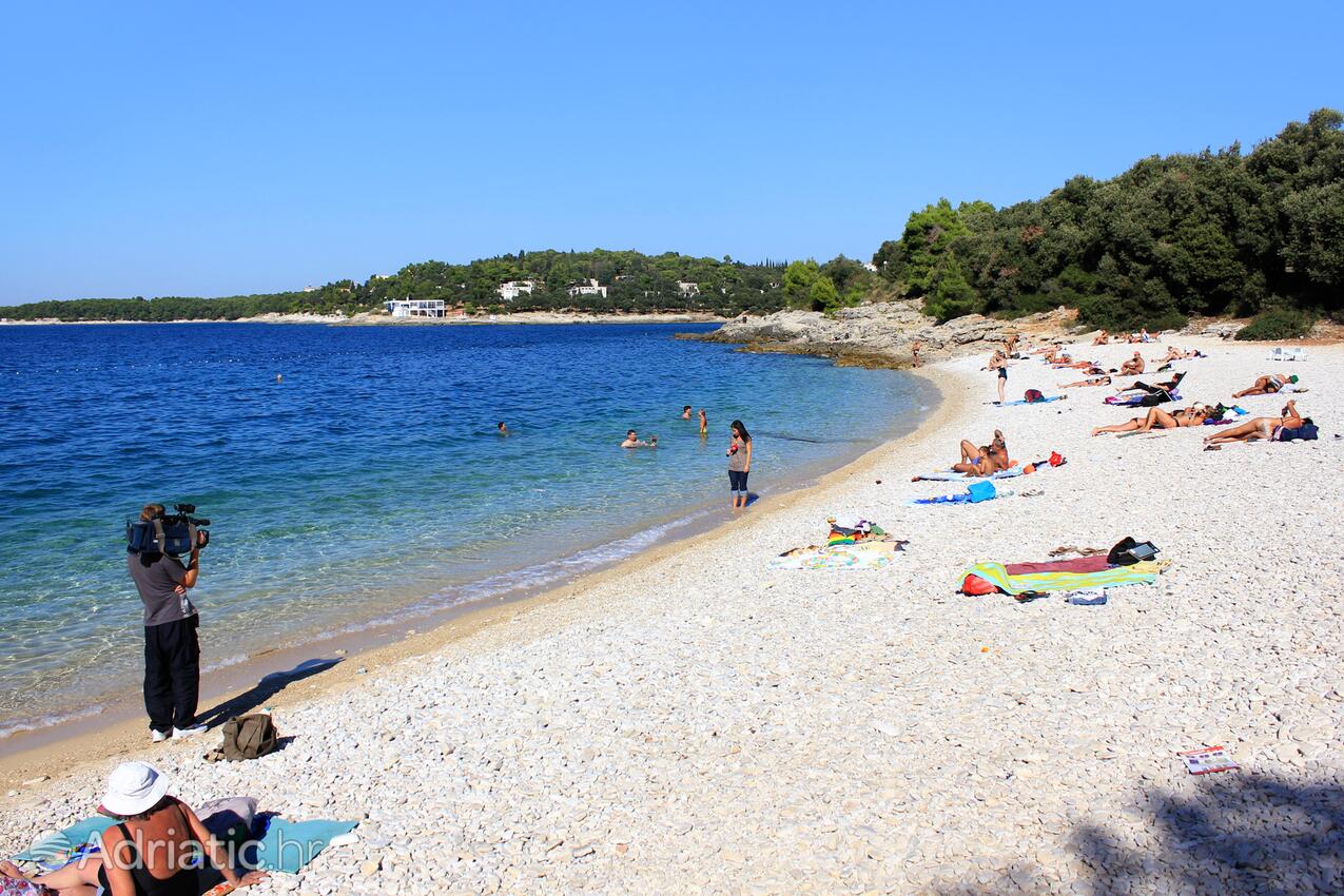 Spiagge nelle vicinanze - Appartamenti accanto al mare Pola - Pula