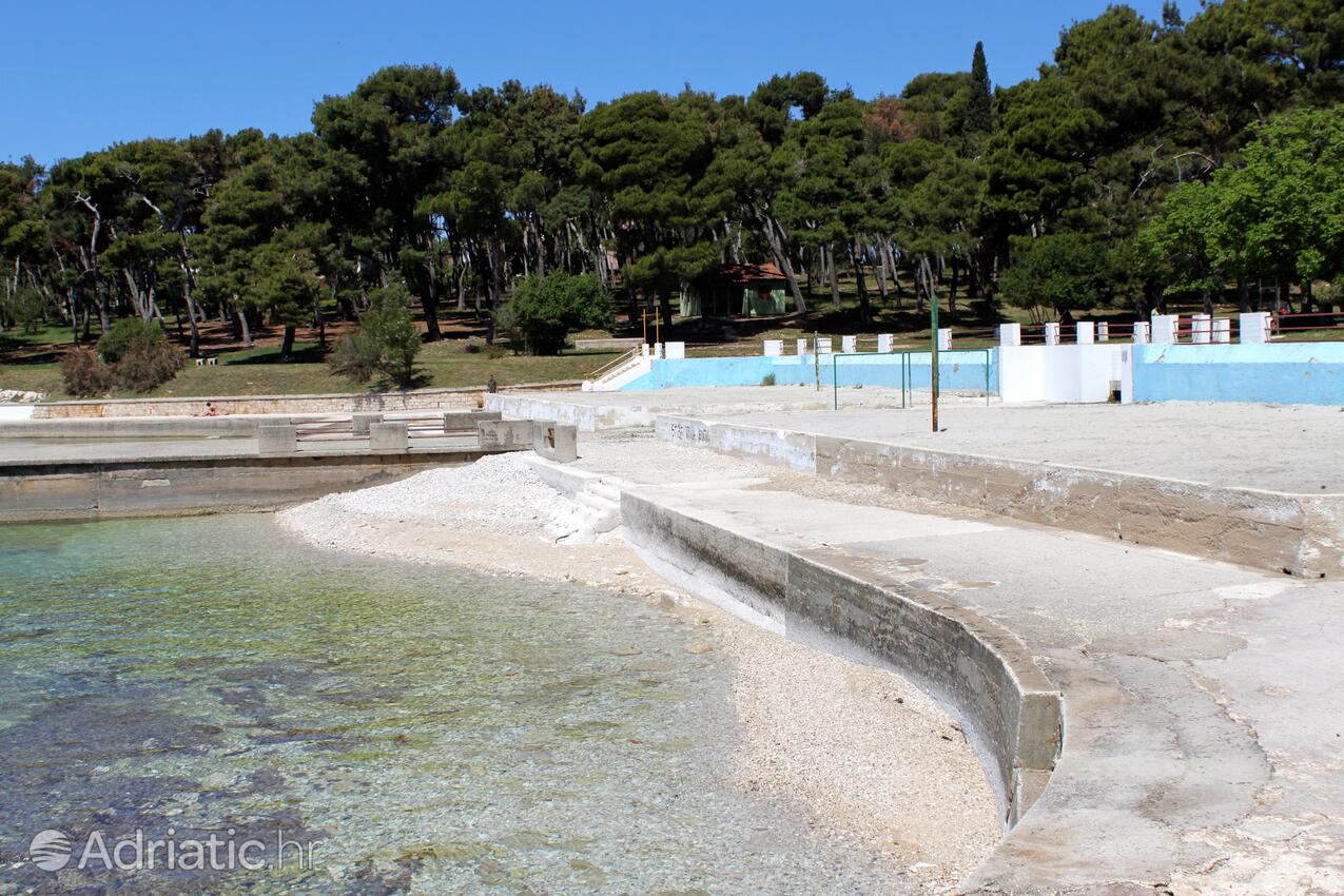 Spiagge nelle vicinanze - Appartamenti accanto al mare Pola - Pula