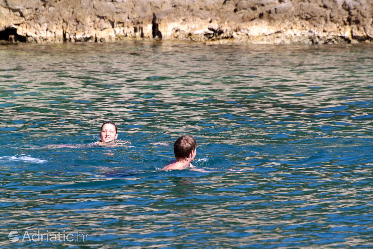 Spiagge nelle vicinanze - Appartamenti accanto al mare Pola - Pula