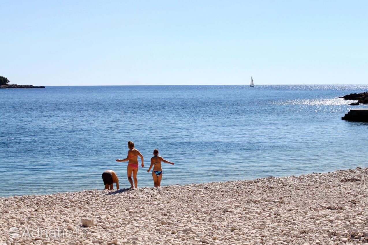 Spiagge nelle vicinanze - Appartamenti accanto al mare Pola - Pula