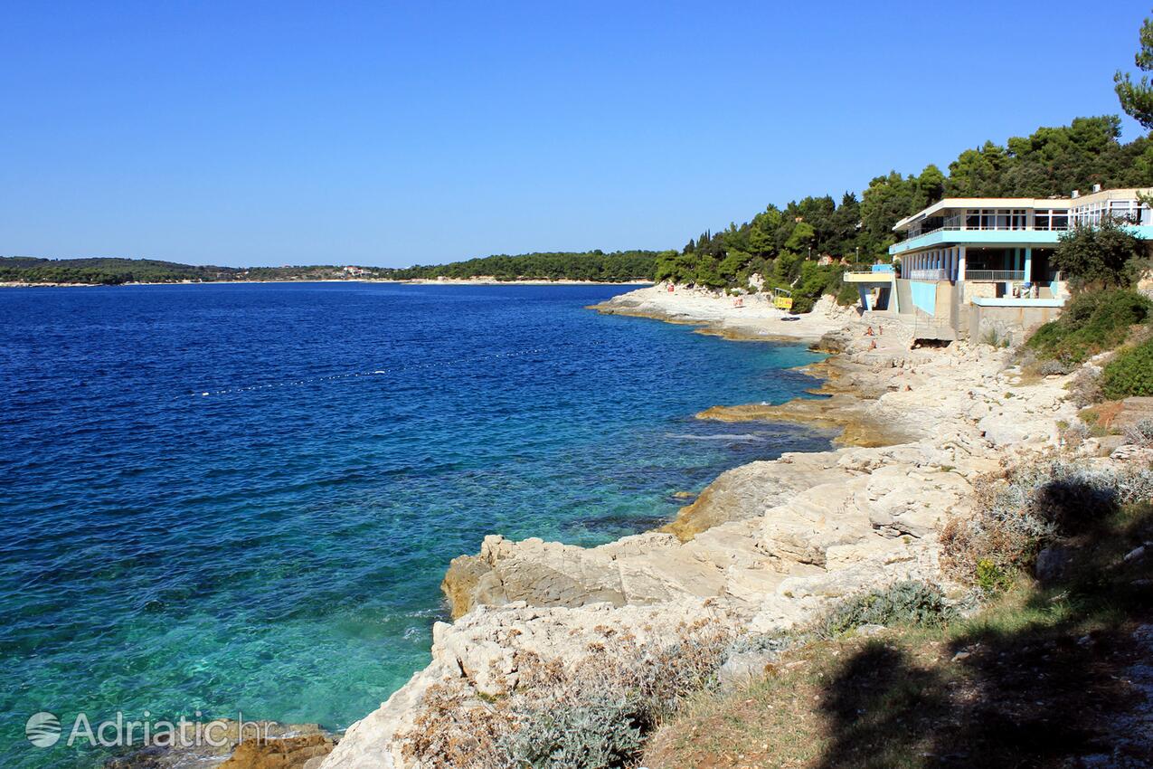 Spiagge nelle vicinanze - Appartamenti accanto al mare Pola - Pula