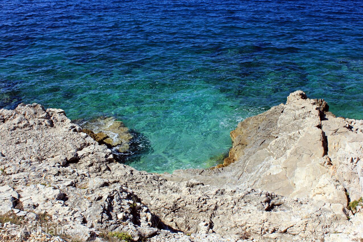 Spiagge nelle vicinanze - Appartamenti accanto al mare Pola - Pula