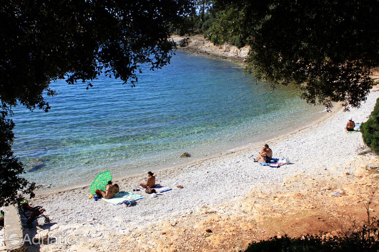Spiagge nelle vicinanze - Appartamenti accanto al mare Pola - Pula