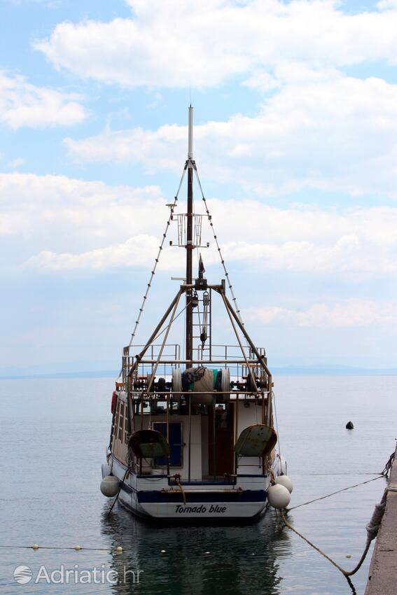 Ika na riwierze Opatija (Kvarner)