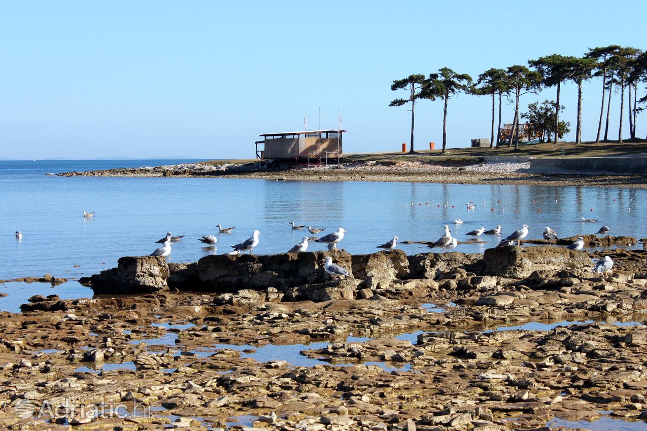 Medulin dans la côte Medulin (Istra)