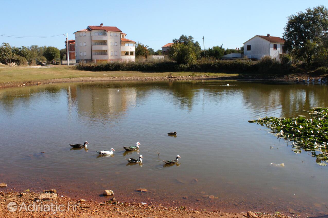 Medulin dans la côte Medulin (Istra)