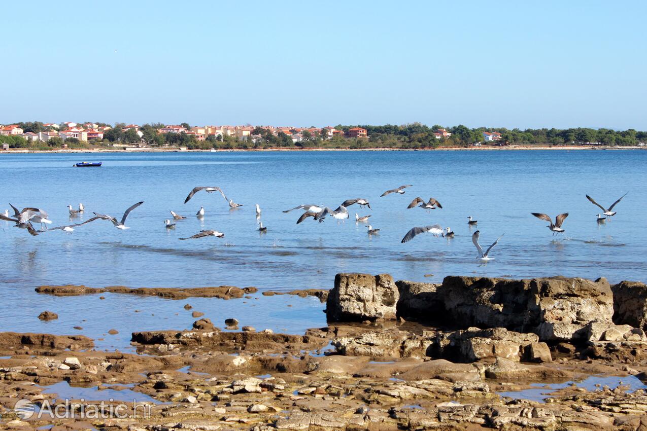 Medulin dans la côte Medulin (Istra)