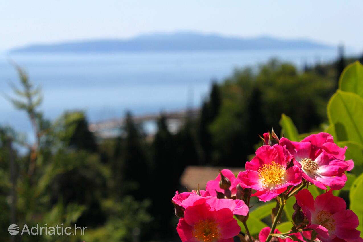 Ičići dans la côte Opatija (Kvarner)