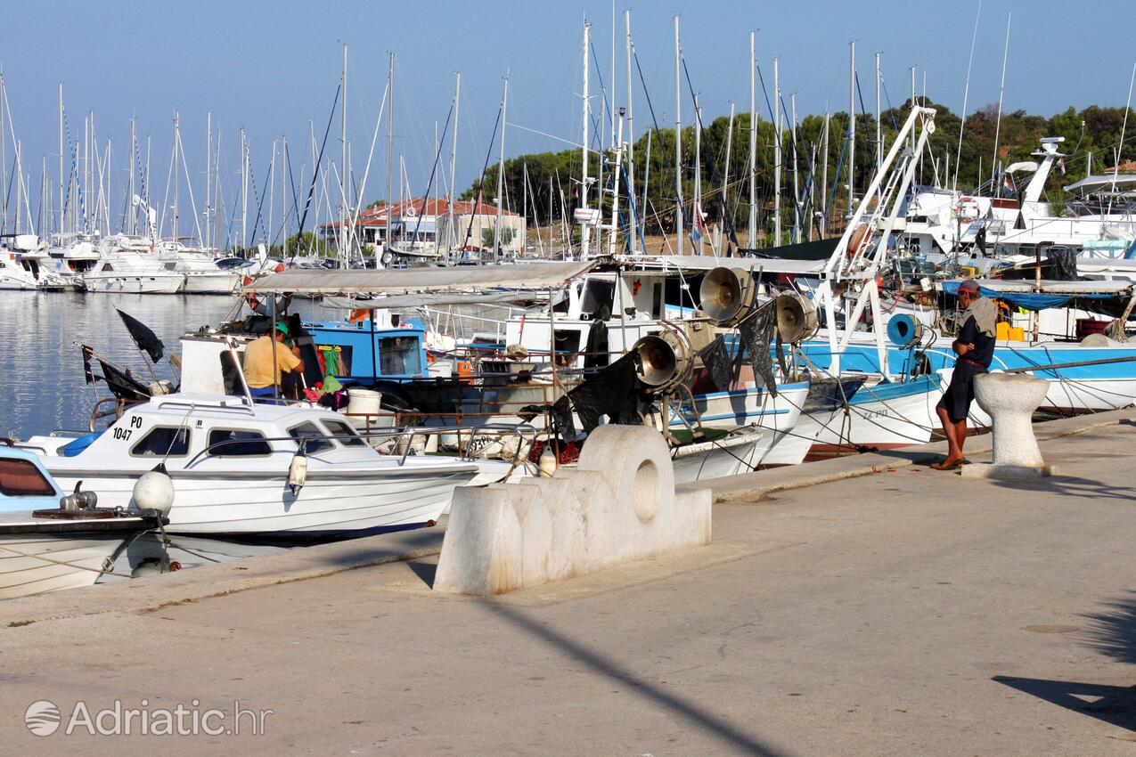 Vrsar sulla riviera Poreč (Istra)