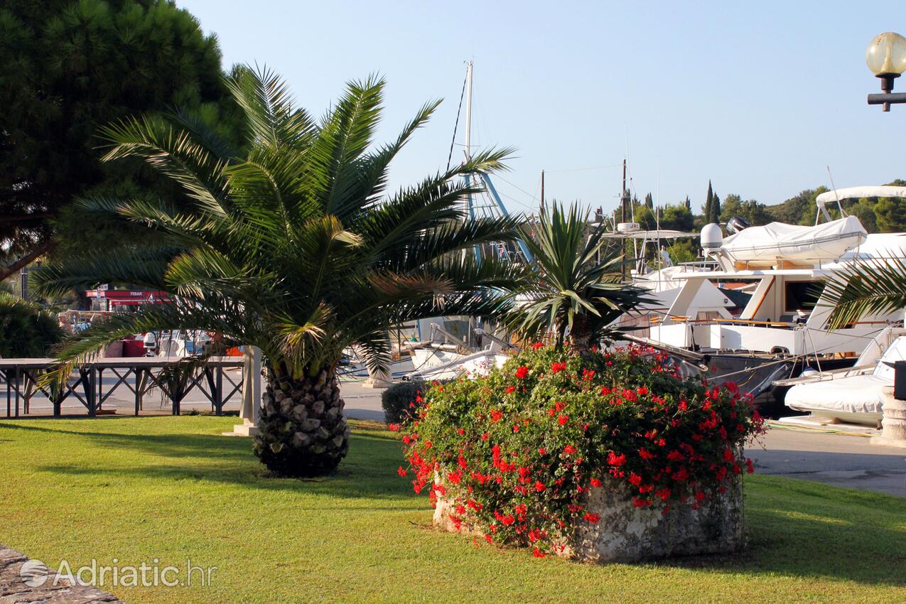 Vrsar sulla riviera Poreč (Istra)