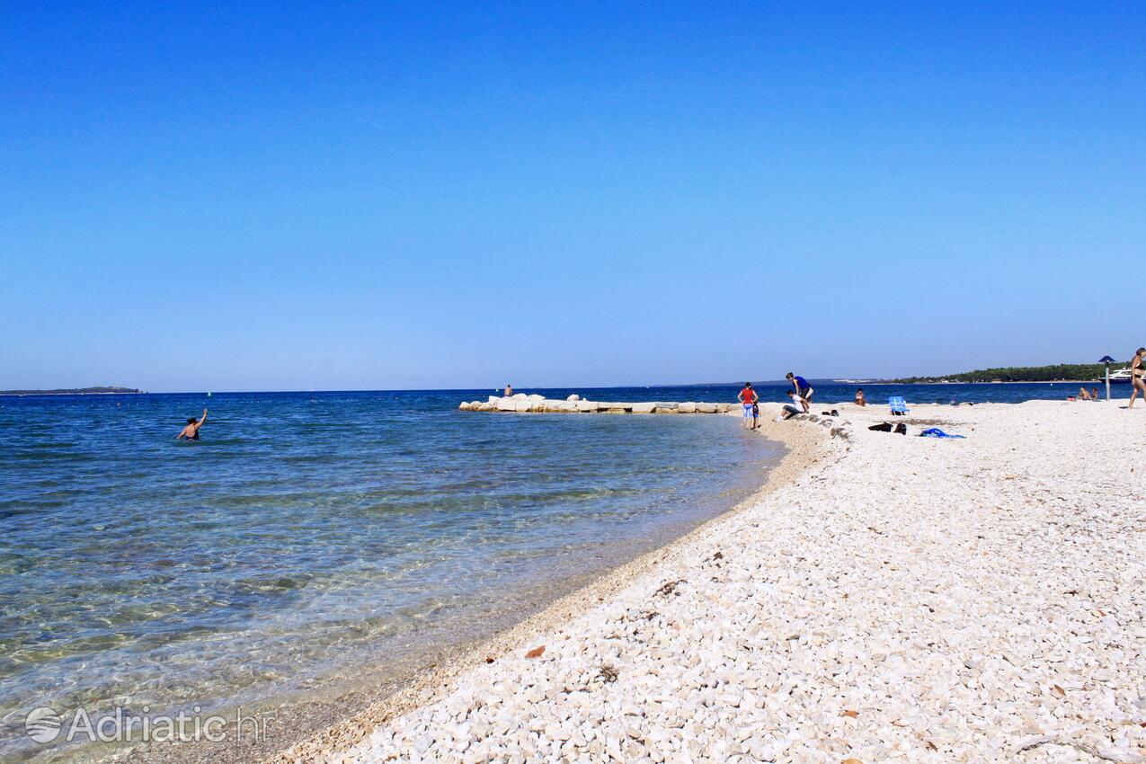 Nearby beaches - Apartments and rooms with parking space Fažana