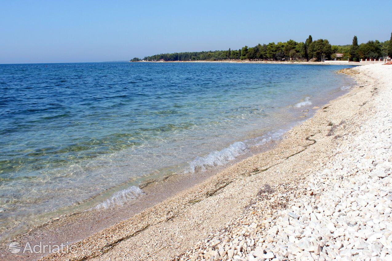 Nearby beaches - Apartments and rooms with parking space Fažana