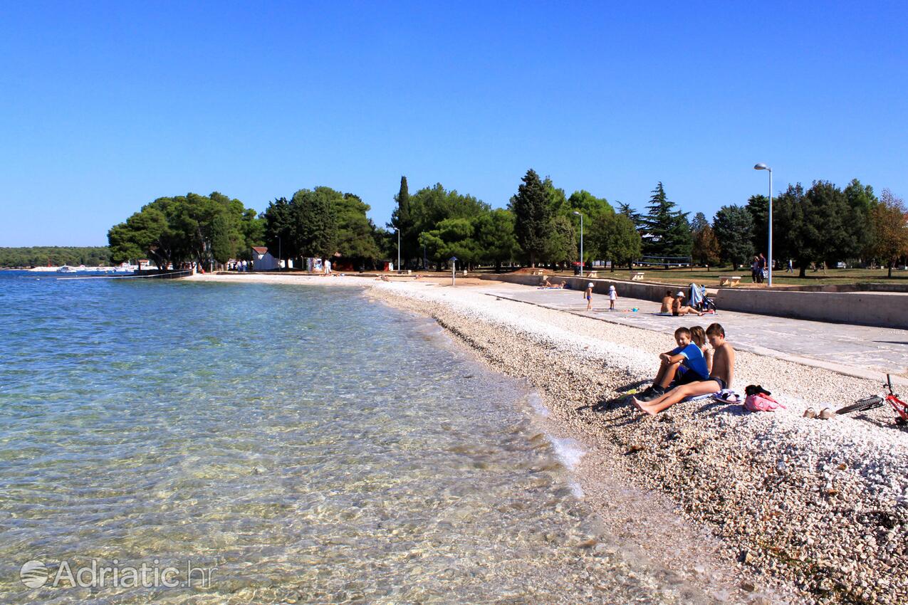 Nearby beaches - Apartments and rooms with parking space Fažana