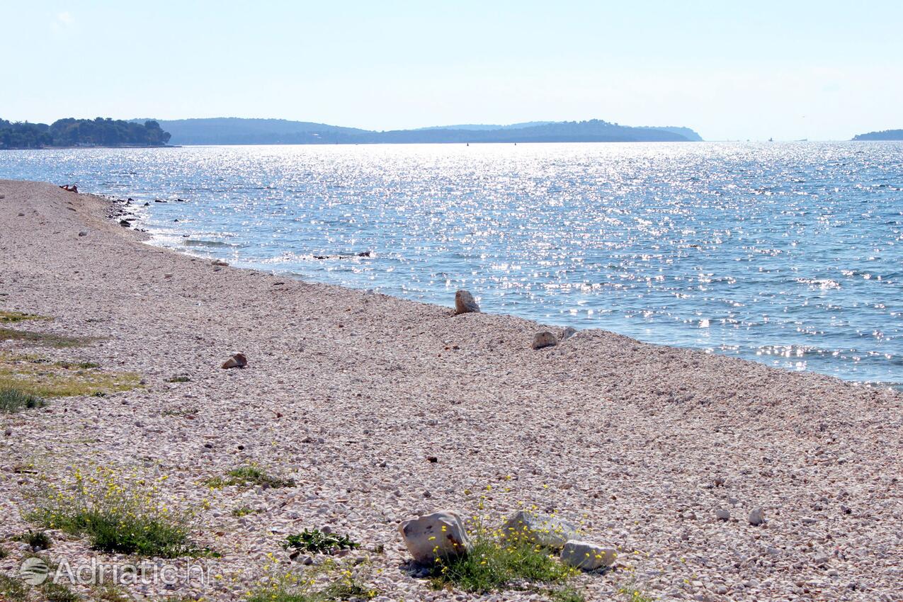 Nearby beaches - Apartments and rooms with parking space Fažana