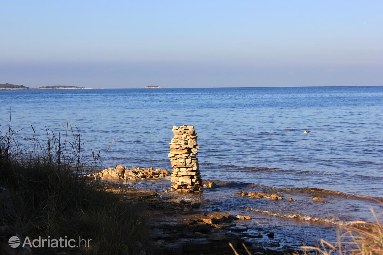 Peroj an der Riviera Fažana (Istra)