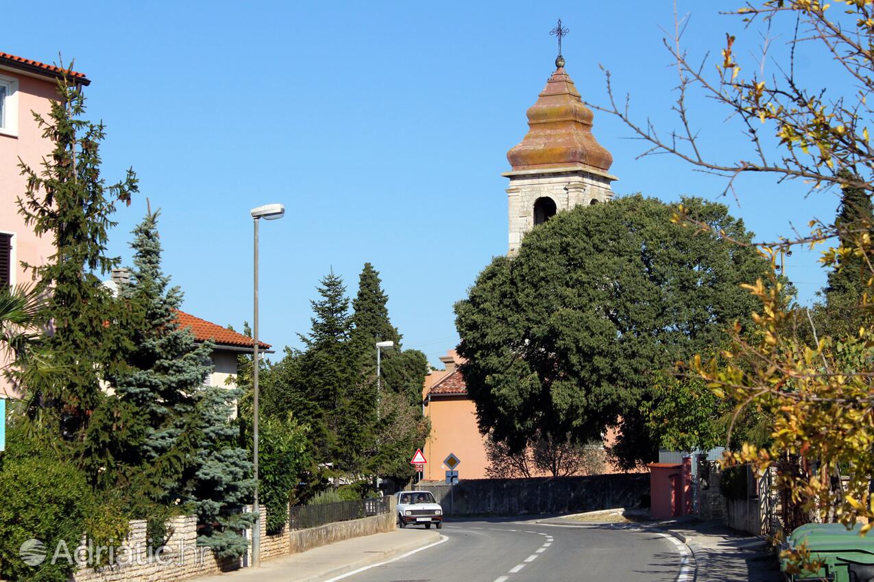 Peroj an der Riviera Fažana (Istra)