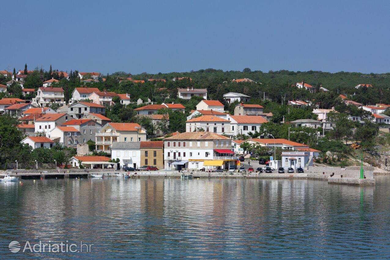 Šilo na ostrově Krk (Kvarner)