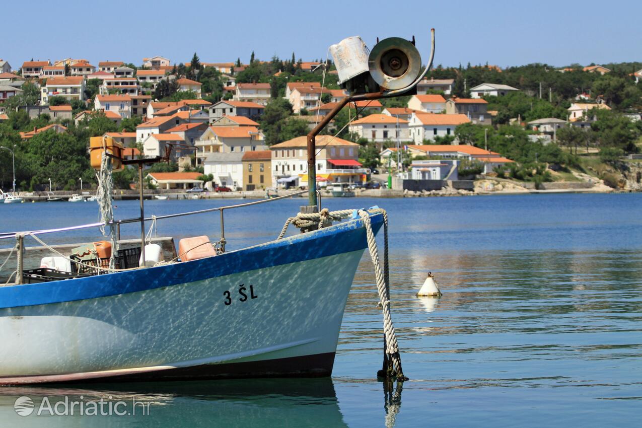 Šilo auf der Insel  Krk (Kvarner)