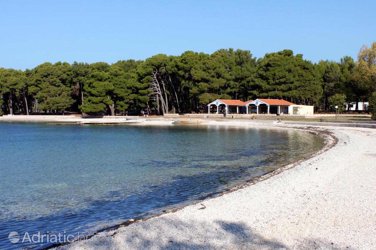 Spiagge nelle vicinanze - Appartamenti con parcheggio Valbandon, Fasana - Fažana