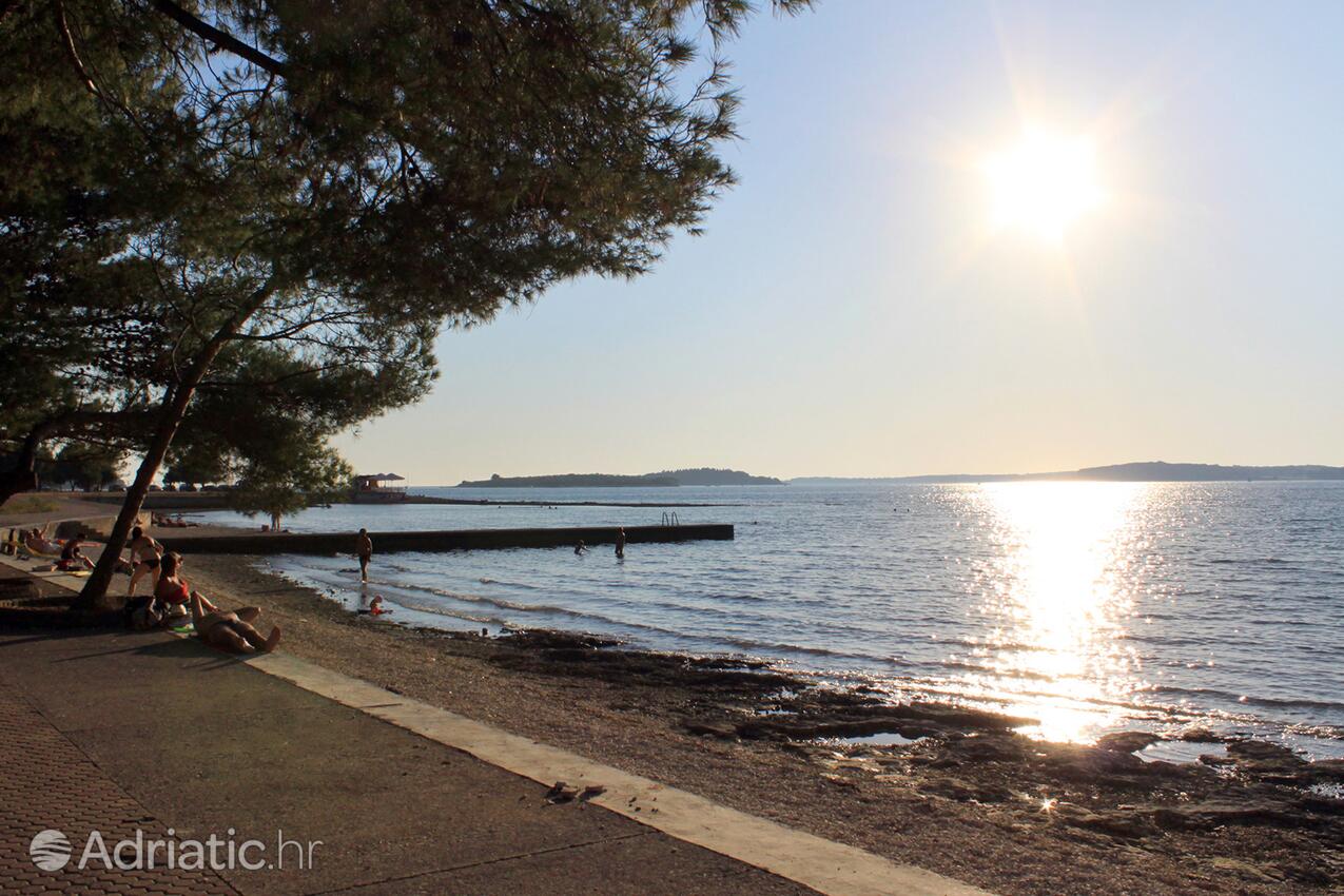 Spiagge nelle vicinanze - Appartamenti con parcheggio Valbandon, Fasana - Fažana