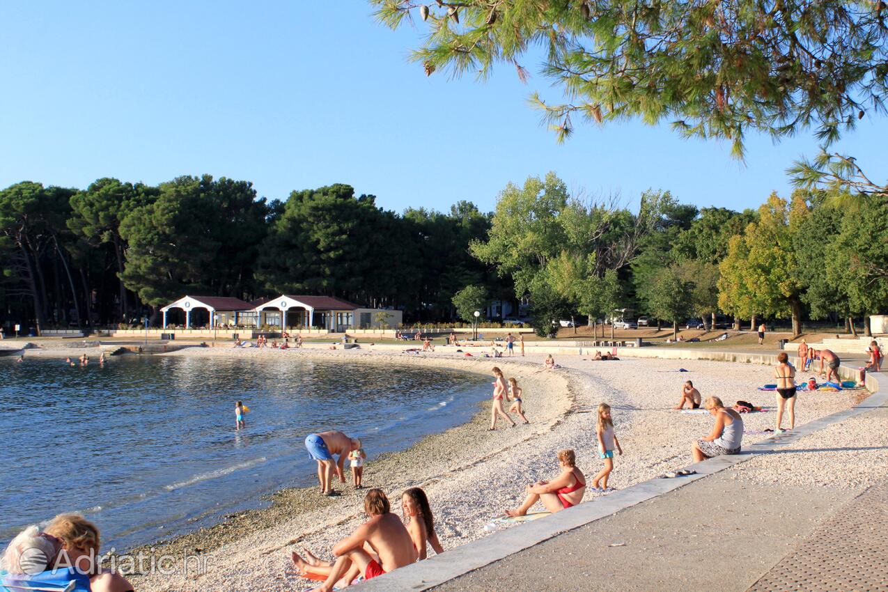 Spiagge nelle vicinanze - Appartamenti con parcheggio Valbandon, Fasana - Fažana