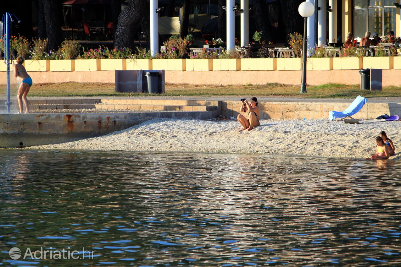 Spiagge nelle vicinanze - Appartamenti con parcheggio Valbandon, Fasana - Fažana