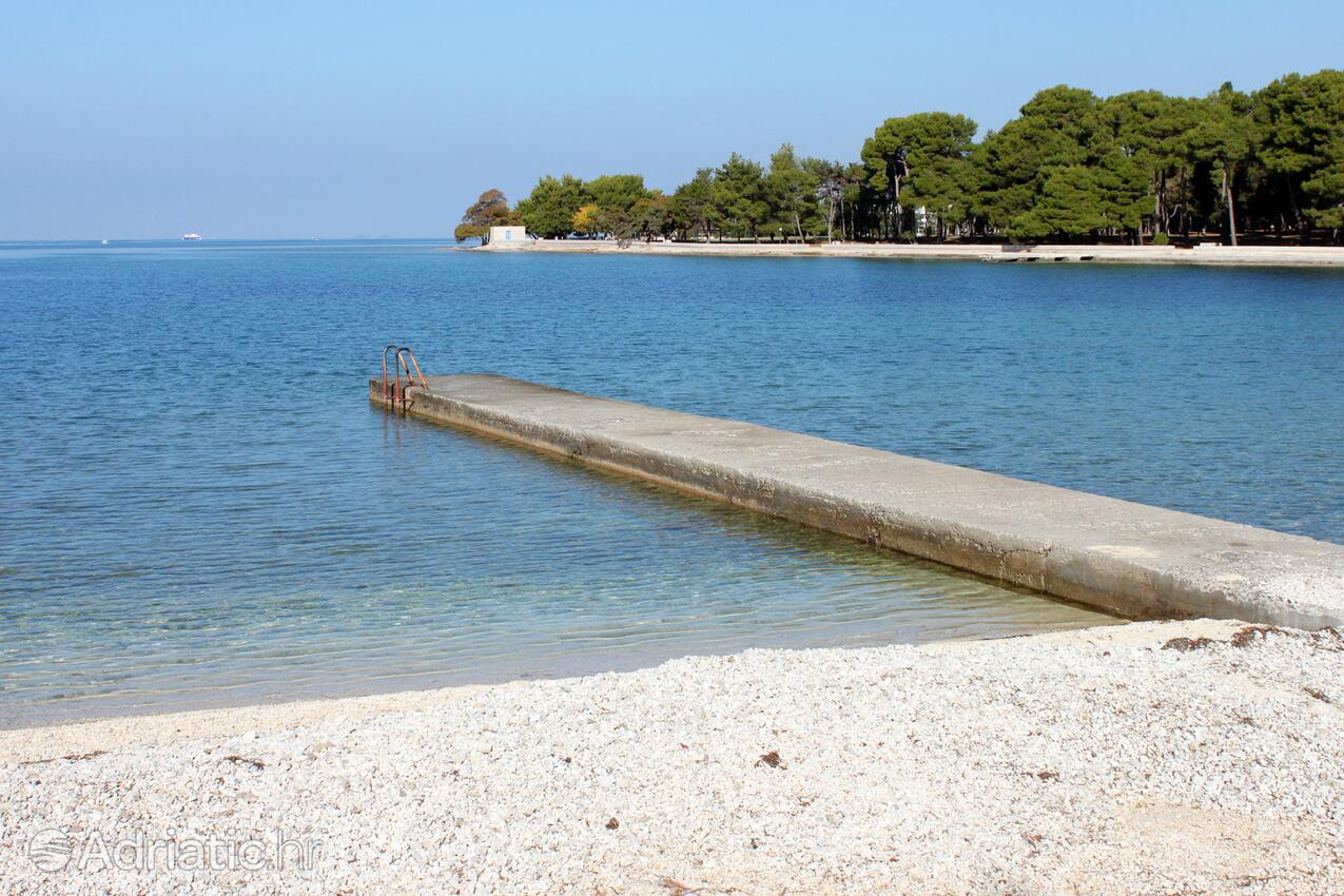 Spiagge nelle vicinanze - Appartamenti con parcheggio Valbandon, Fasana - Fažana
