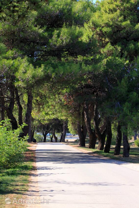 Valbandon i Riviera Fažana (Istra)