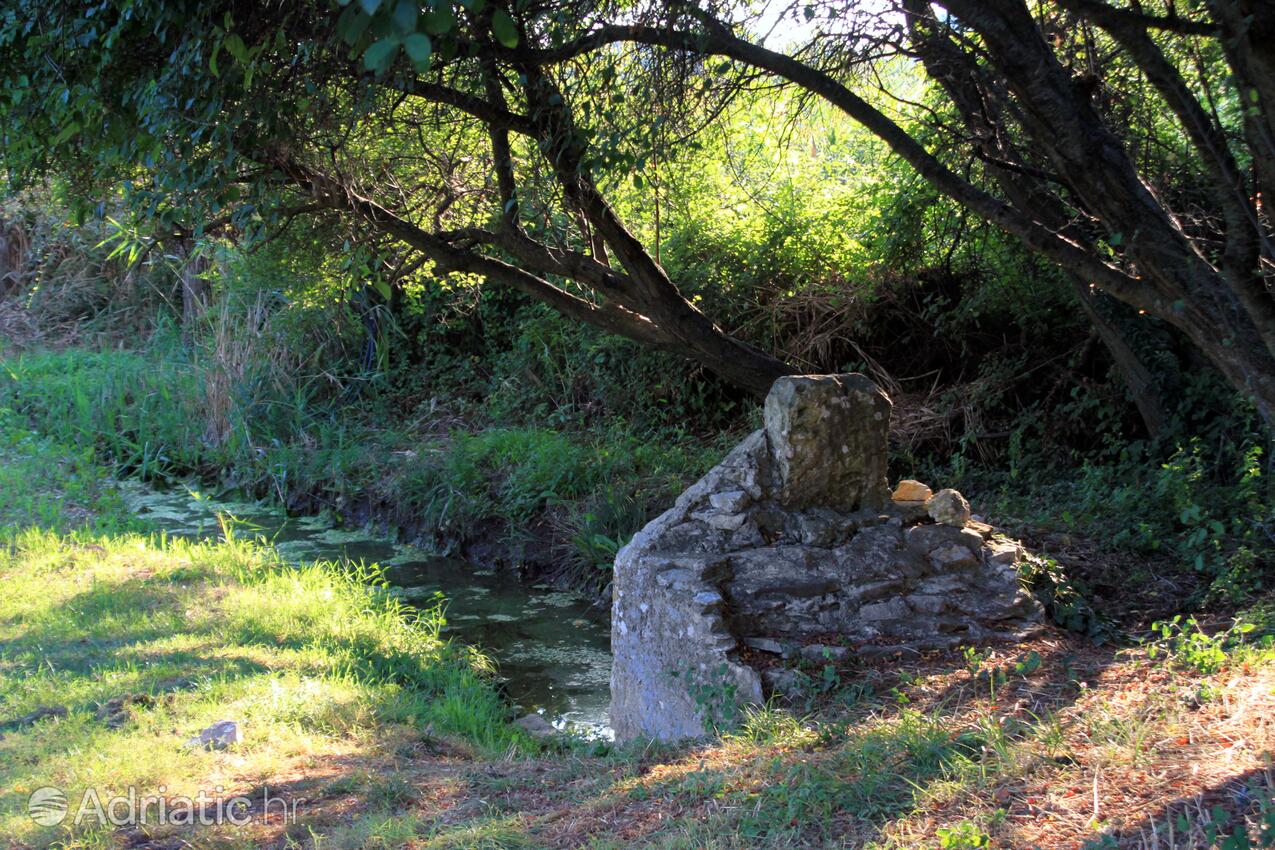 Valbandon i Riviera Fažana (Istra)