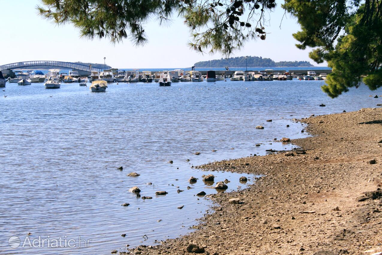 Valbandon i Riviera Fažana (Istra)