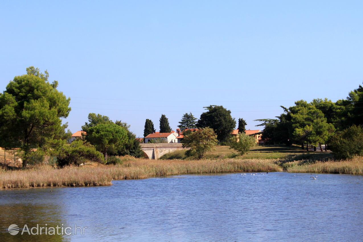 Valbandon i Riviera Fažana (Istra)