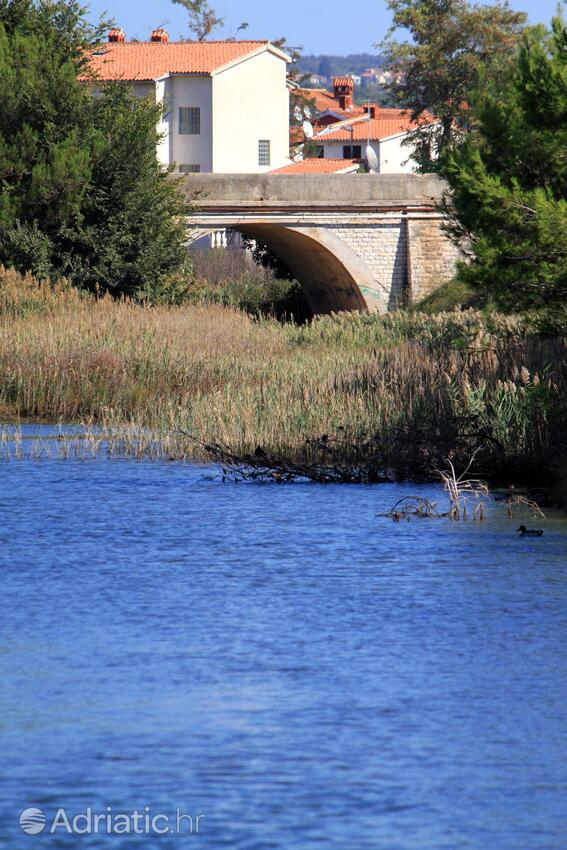 Valbandon i Riviera Fažana (Istra)