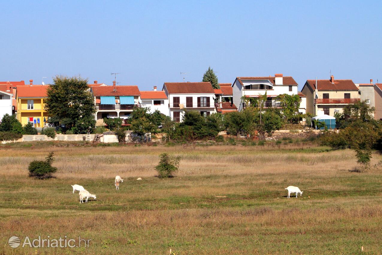 Valbandon i Riviera Fažana (Istra)