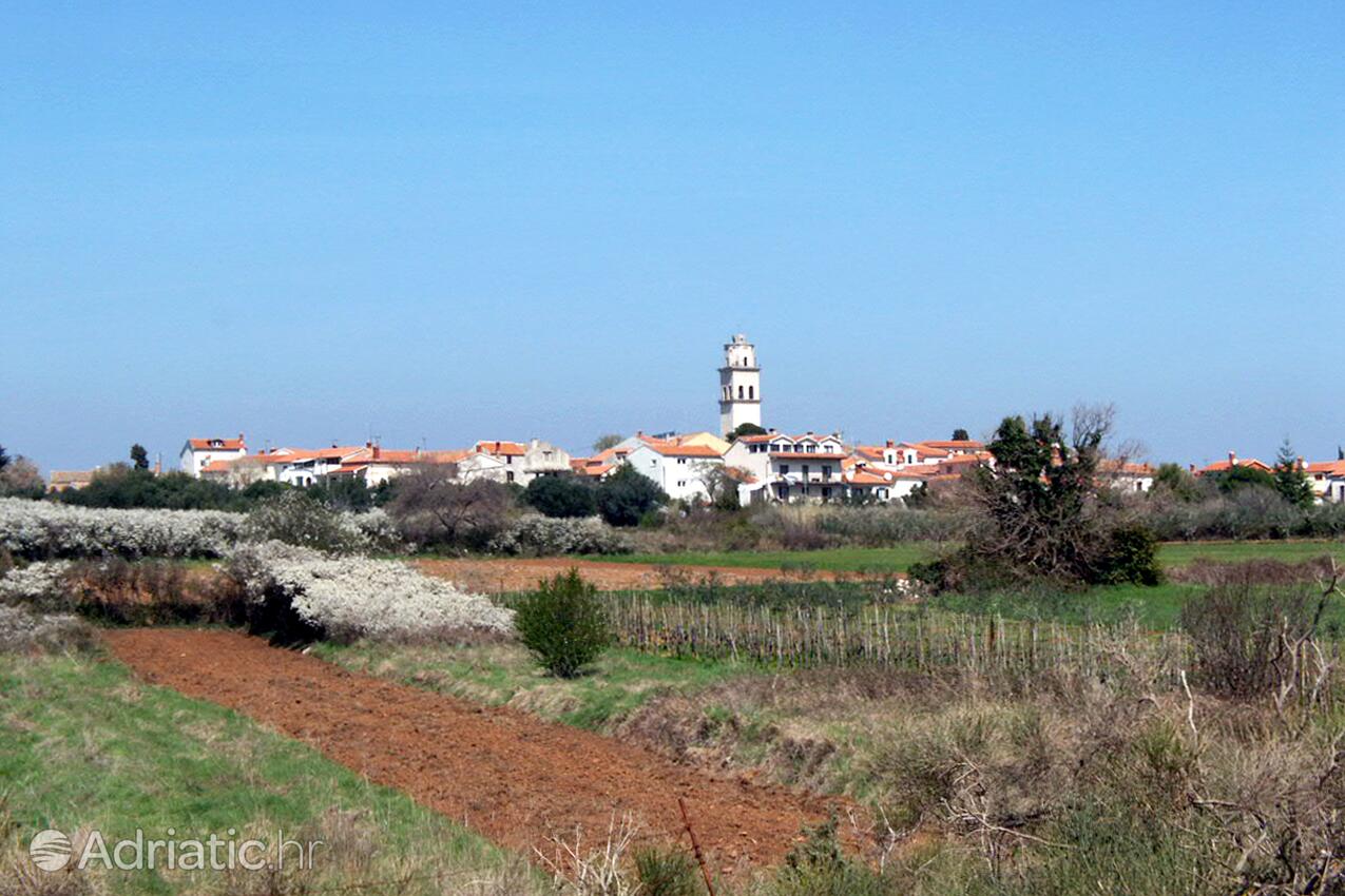 Premantura dans la côte Medulin (Istra)