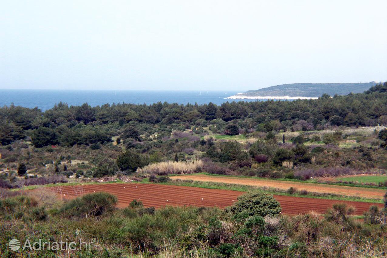 Premantura dans la côte Medulin (Istra)