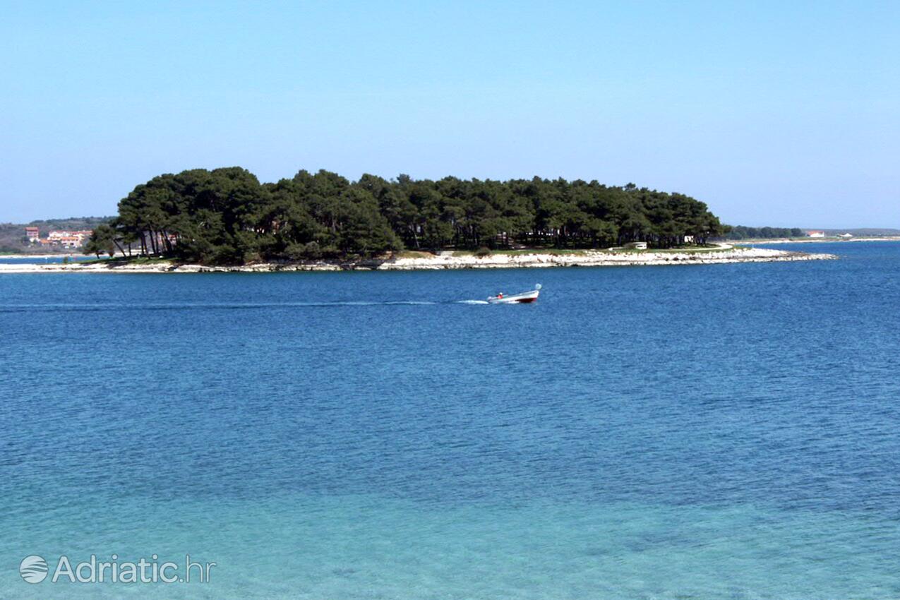 Premantura dans la côte Medulin (Istra)