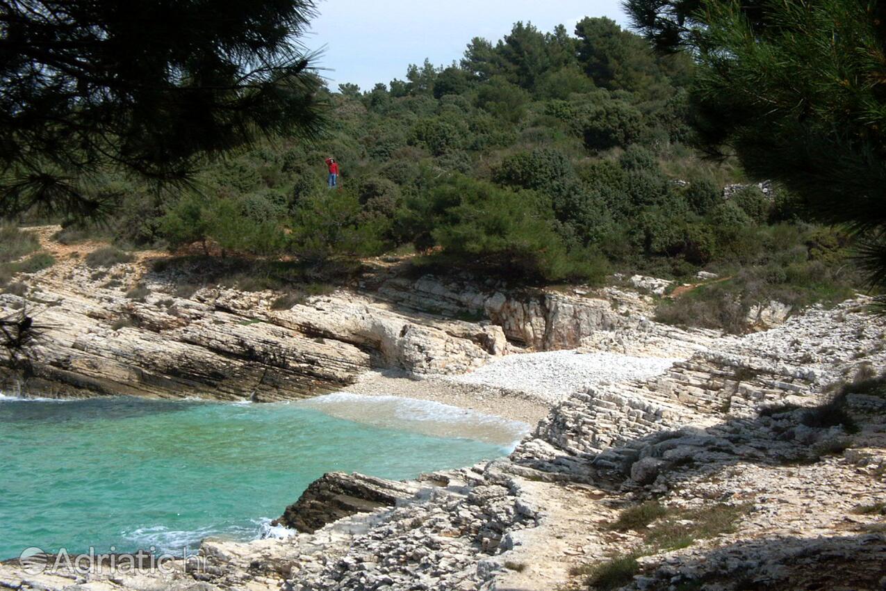 Nearby beaches - Apartments with a parking space Premantura, Medulin