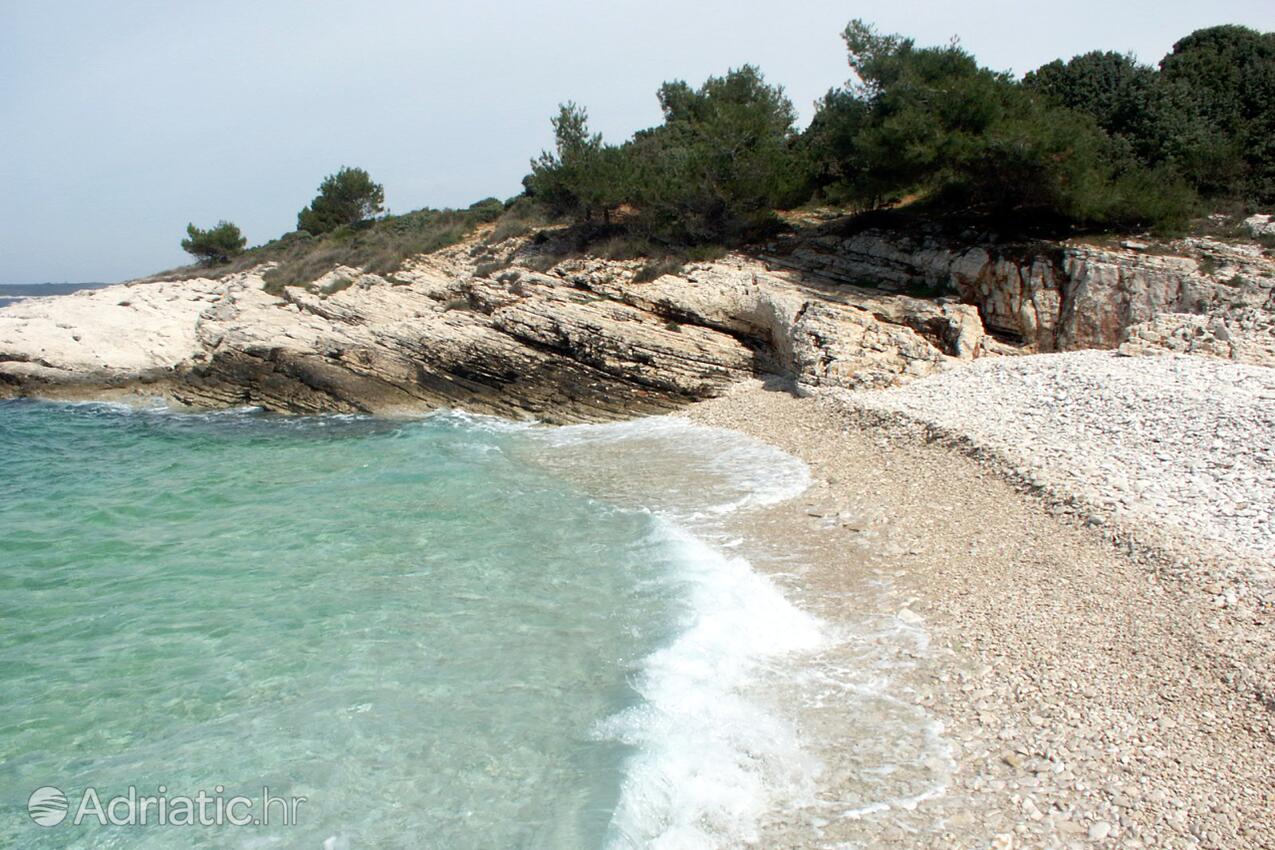 Nearby beaches - Apartments with a parking space Premantura, Medulin