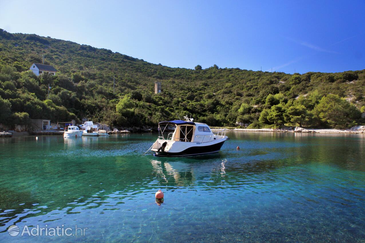 Rogačić sur l’île Vis (Srednja Dalmacija)