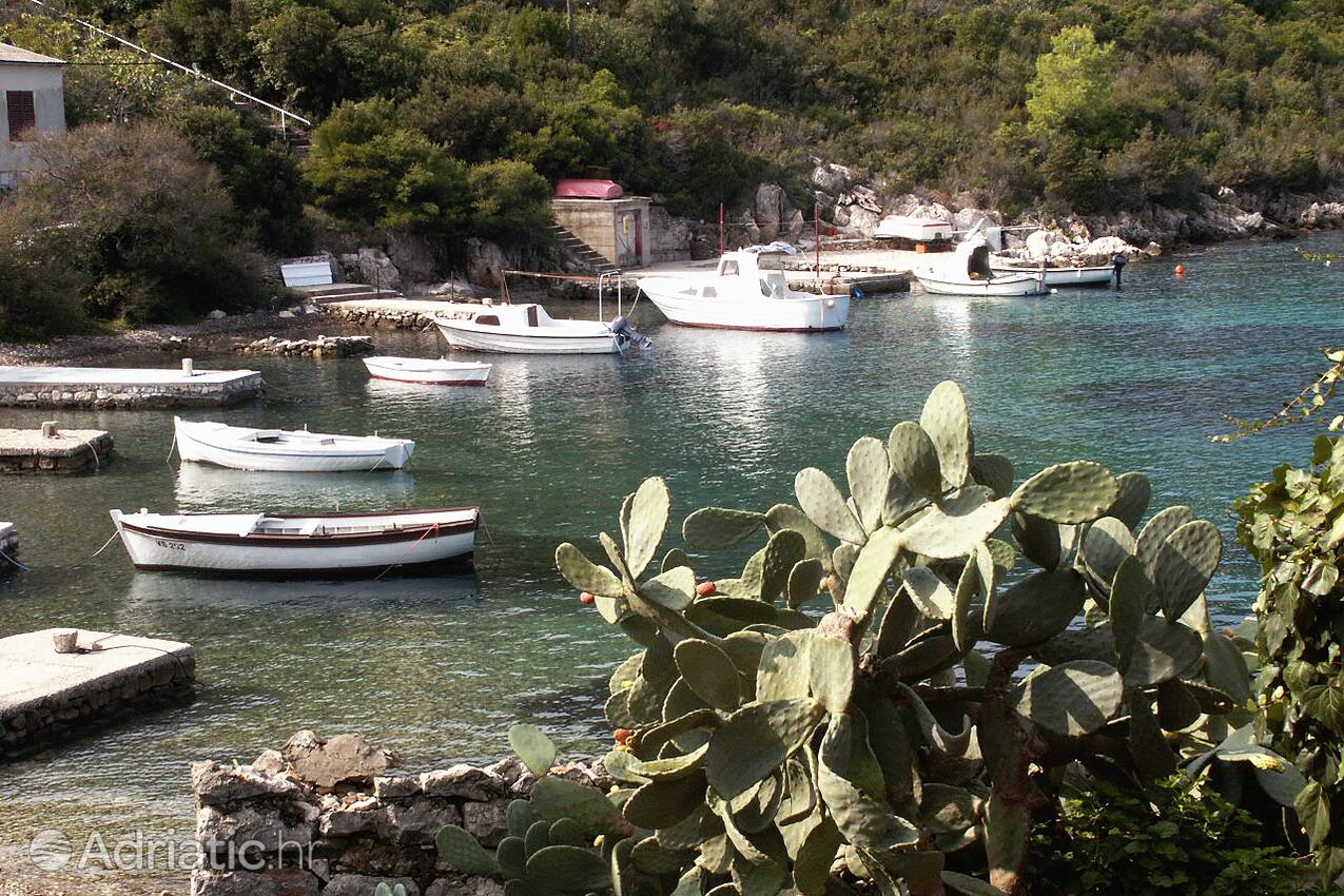 Rogačić op de route Vis (Srednja Dalmacija)