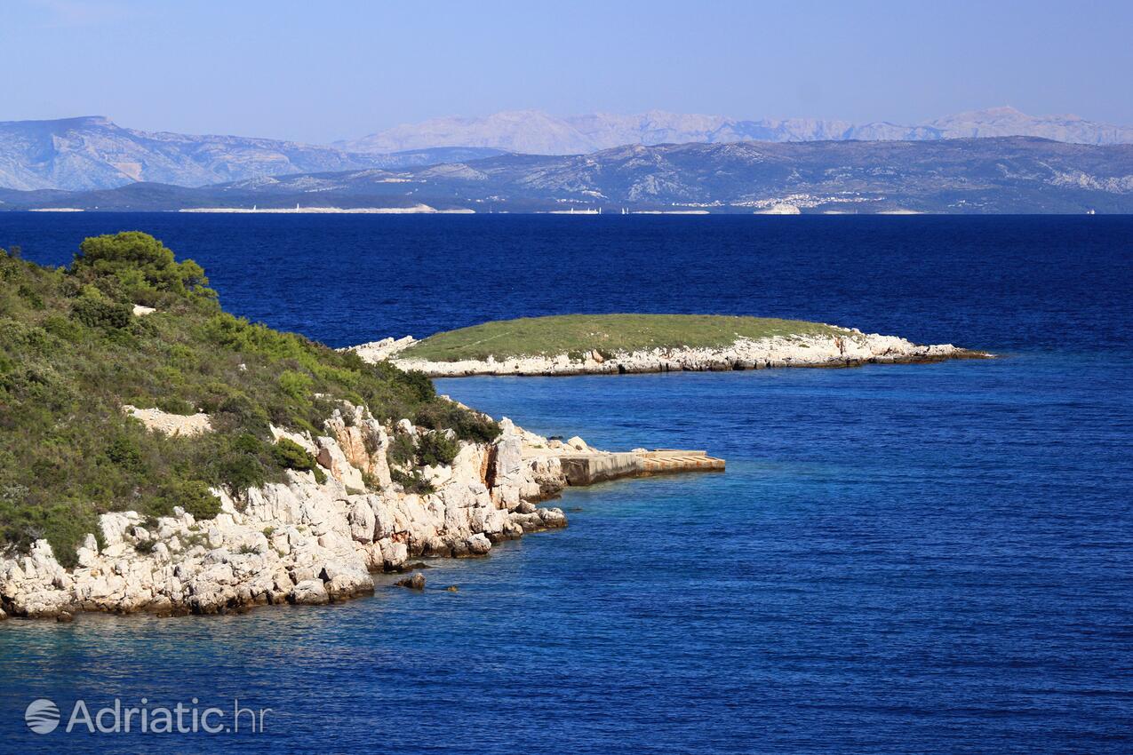 Rogačić op de route Vis (Srednja Dalmacija)